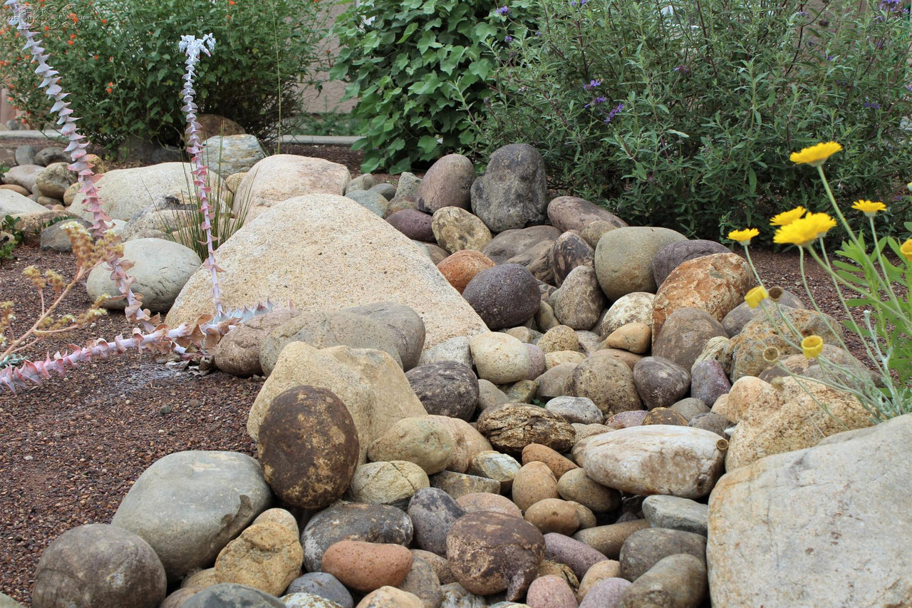 Multiple stones in a garden setting