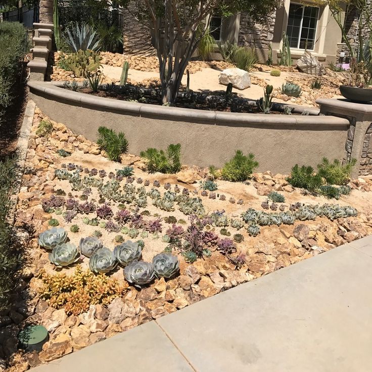 Decorative stones among different plants