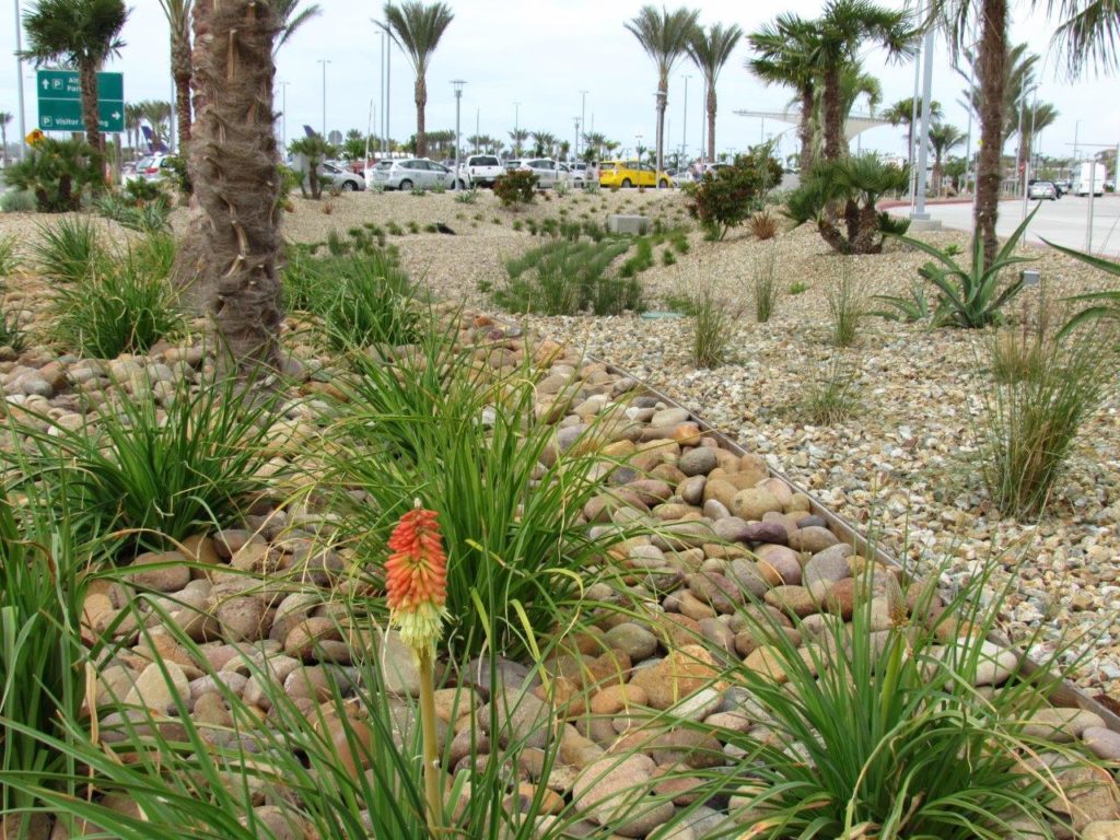 Decorative stones in a public setting with plants