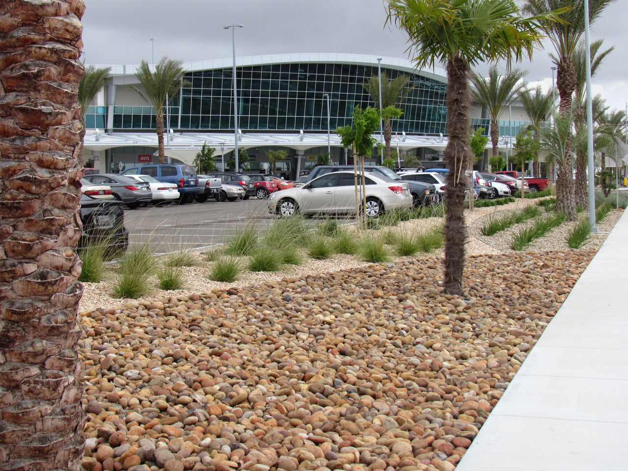 Decorative stones in a ground cover application in a parking lot application