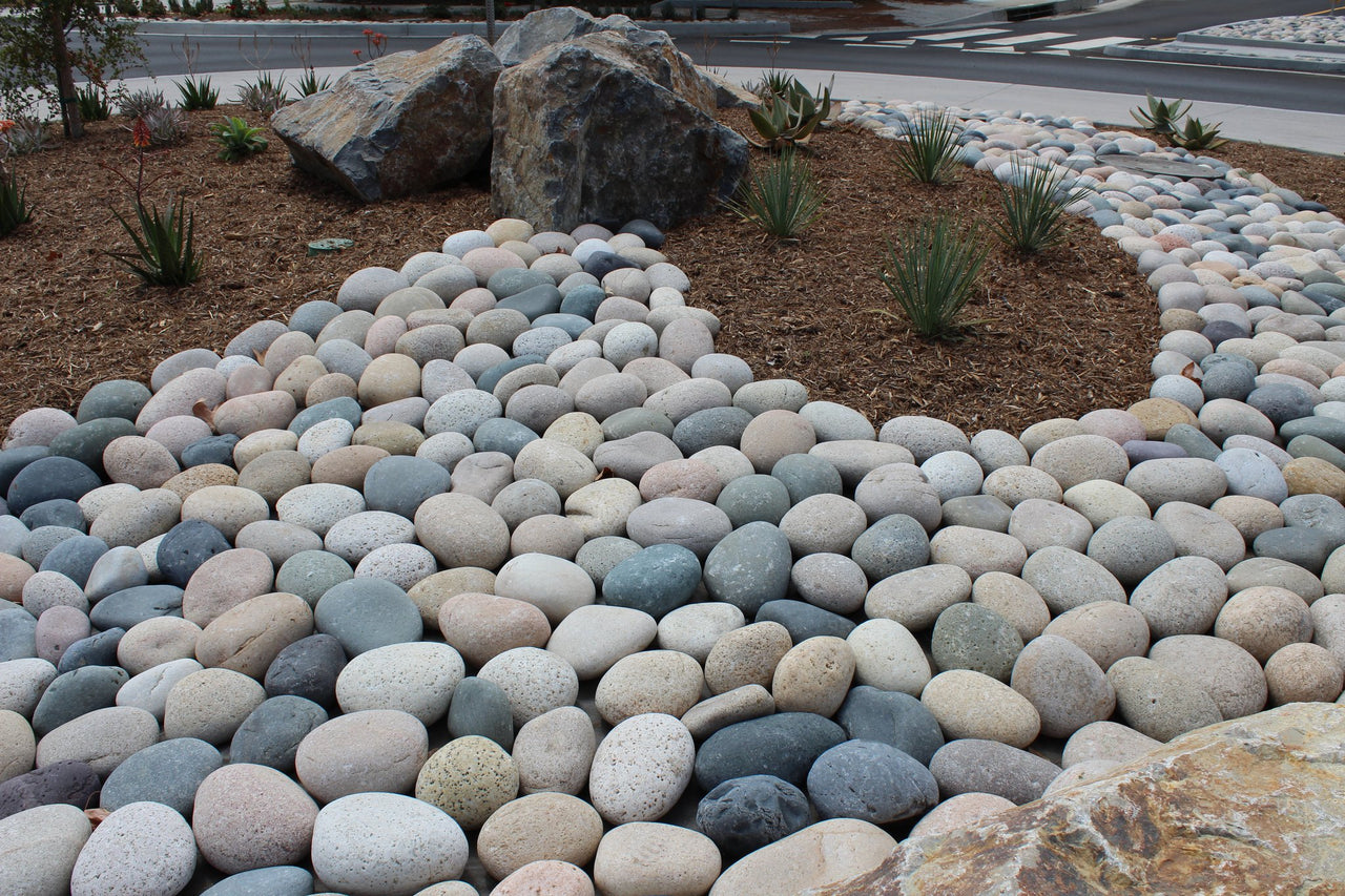 Mixed Mexican Beach Pebble Pineapples as Ground Cover