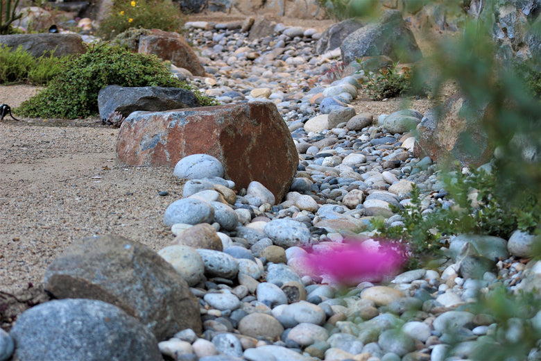 Dry Streambed with River rock and boulders