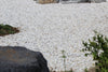 White gravel in a rock garden application