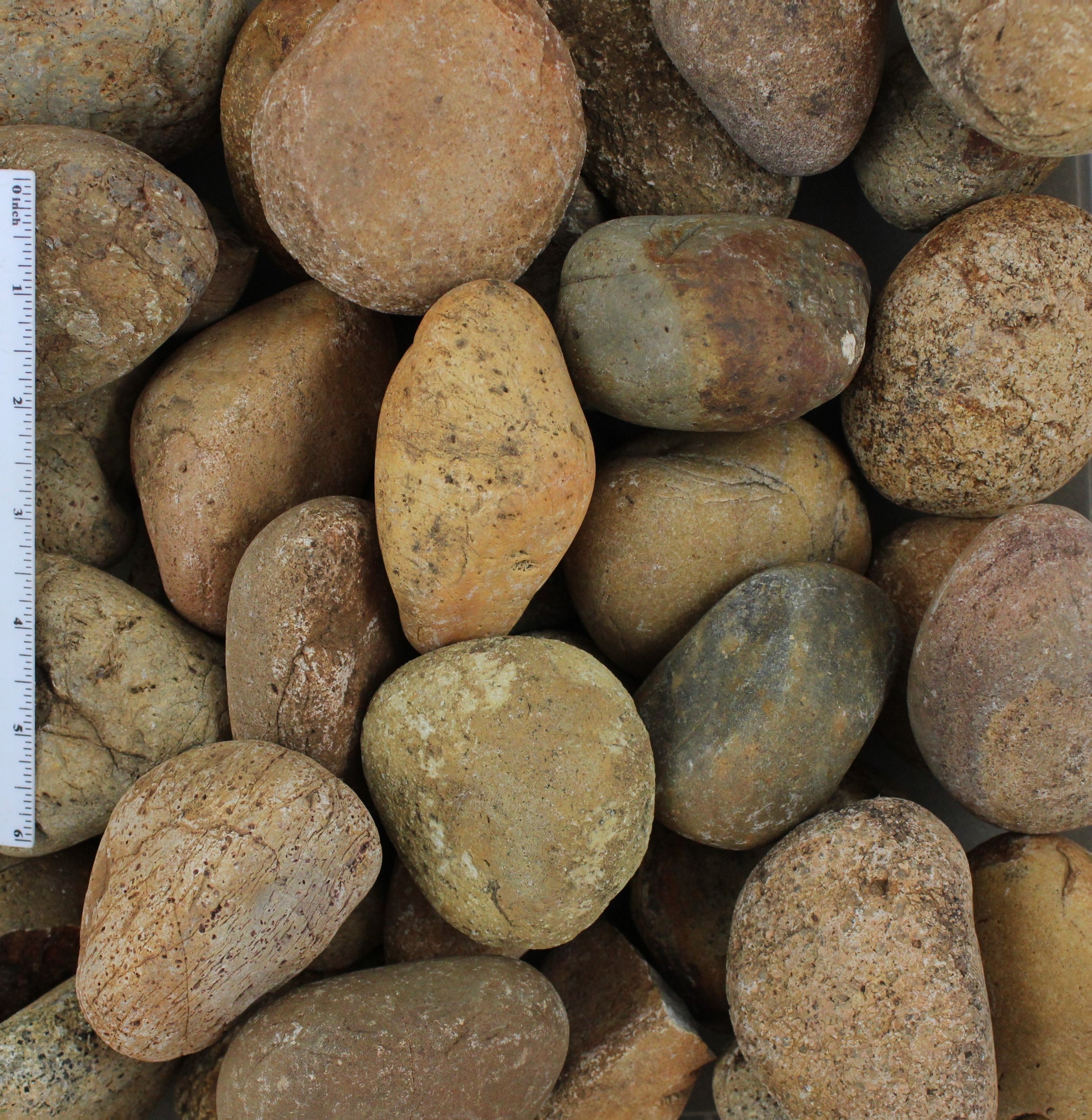 Mexican SunbursMexican Sunburst Pebbles for home, landscaping and ...