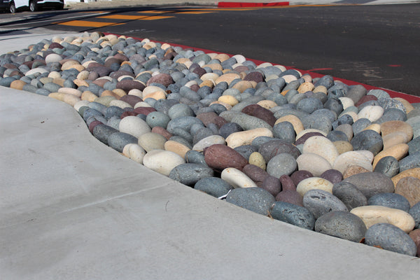 Mixed Mexican beach stone used as ground cover