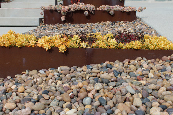 Sonora Shine decorative rocks in a ground cover