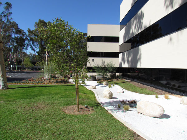 White Decorative Gravel in an office landscape